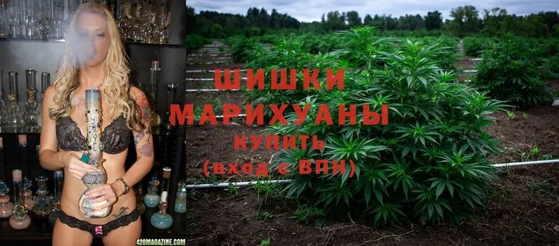 Бошки марихуана OG Kush  купить закладку  Новокузнецк 